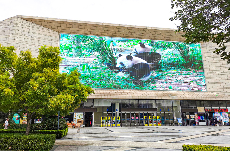 山东青岛城阳体育馆P12.5 360方